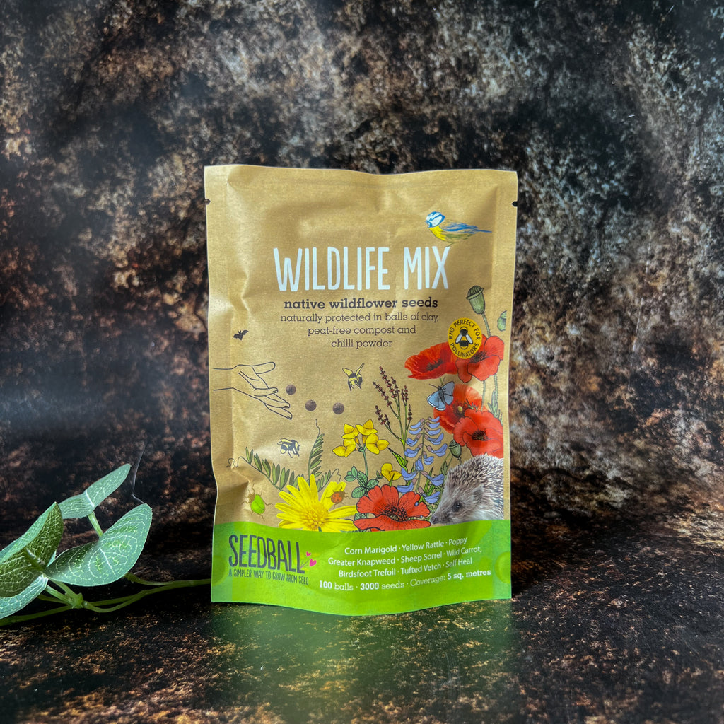 Seedball Wildflower Grab Bag Mix